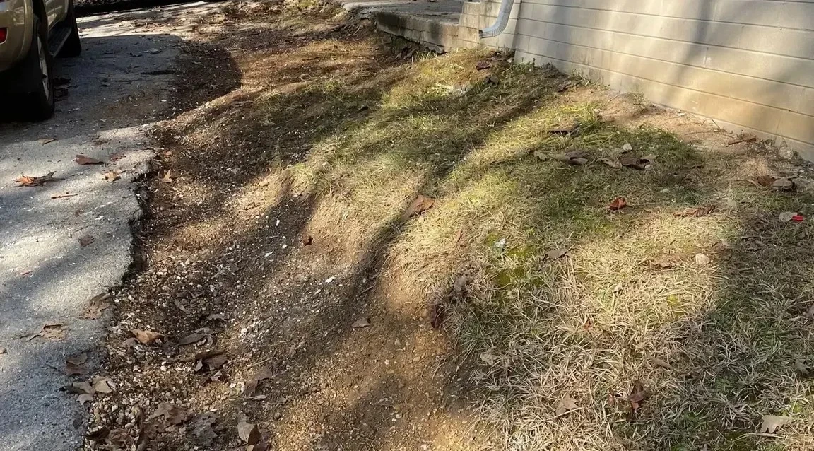 Elevate Your Project 2