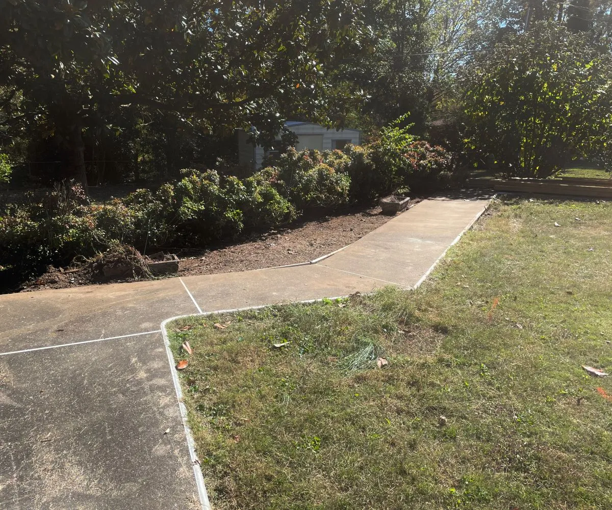 Pathway through a landscaped garden